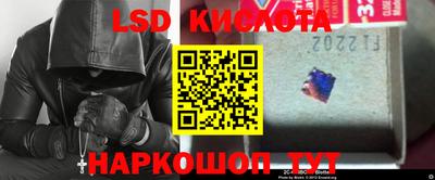 a pvp Кингисепп