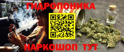 a pvp Кингисепп