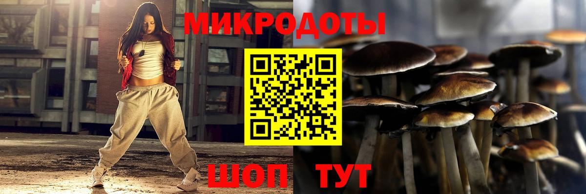 Псилоцибиновые грибы Psilocybe Котельники